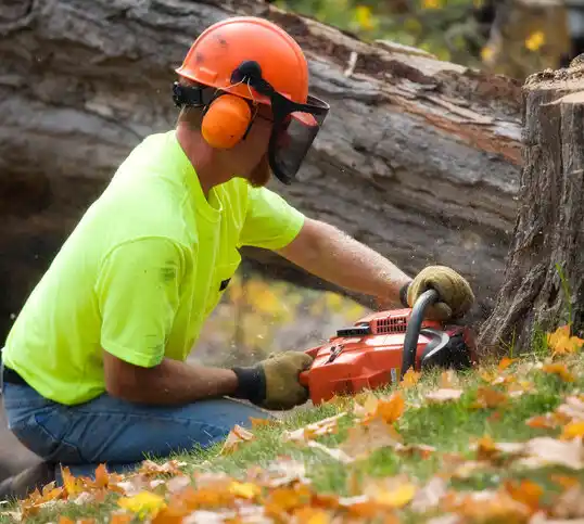 tree services Memphis